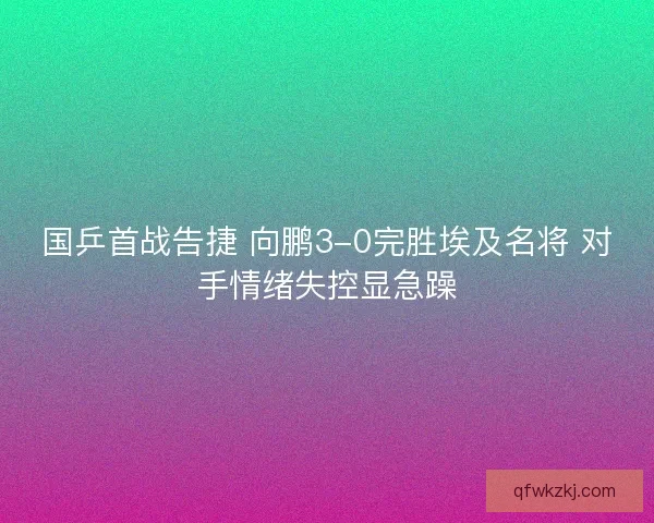 国乒首战告捷 向鹏3-0完胜埃及名将 对手情绪失控显急躁